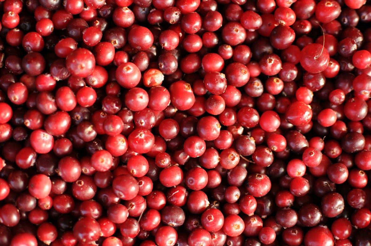 Canneberges rouges en vrac